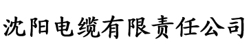 琪琪在线影院香蕉网电缆厂logo